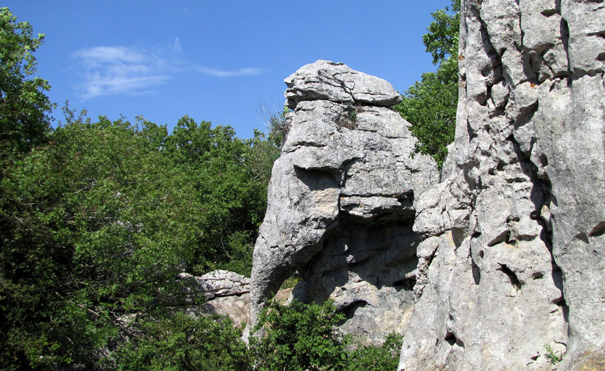13l'éléphant.jpg