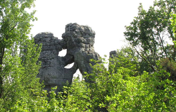14le lion et l'ours.jpg