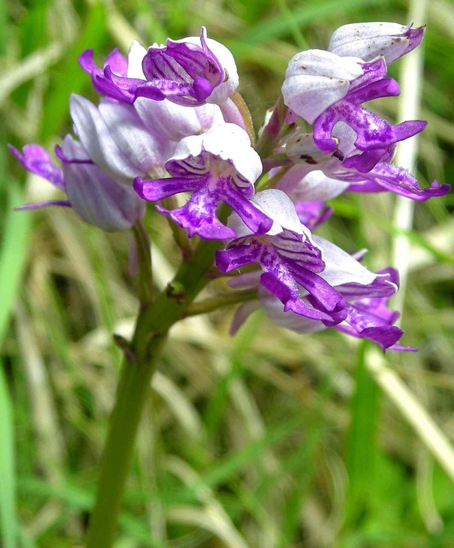 DSCN1635.jpg