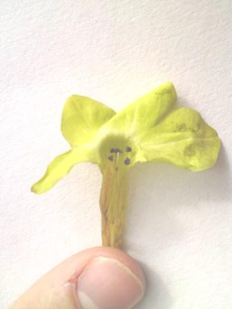 13 juin 2011 030.jpg ret.jpg