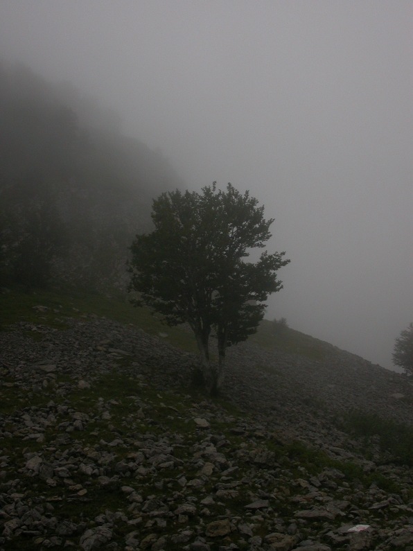 pied  du pic Pourtet ouvert dans la brume 1.jpg