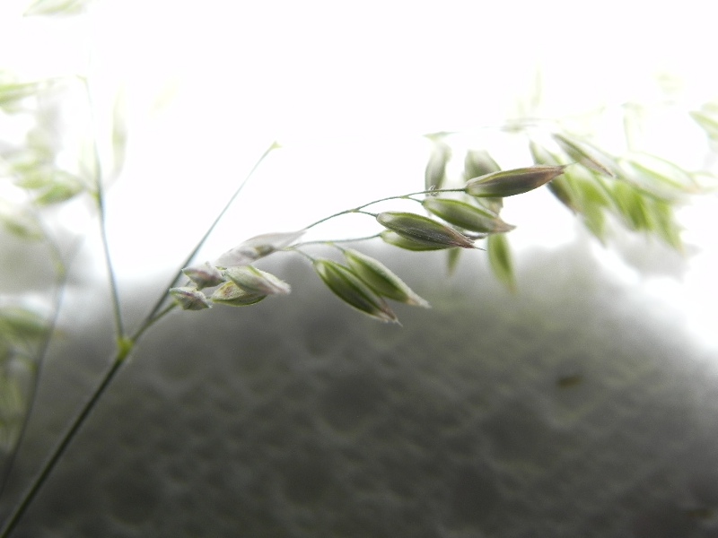 DSCN0563.JPG