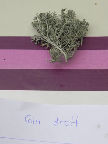 DSCN4458.JPG