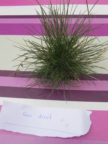 DSCN4459.JPG
