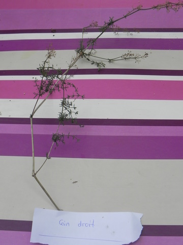 DSCN4464.JPG