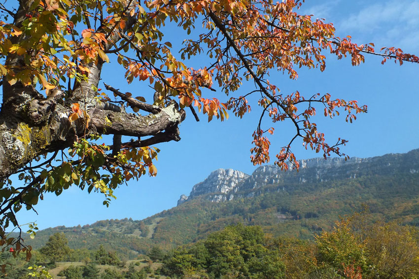 Les Monts du Matin