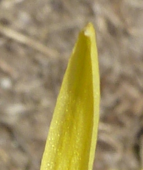 P1070914-001.JPG