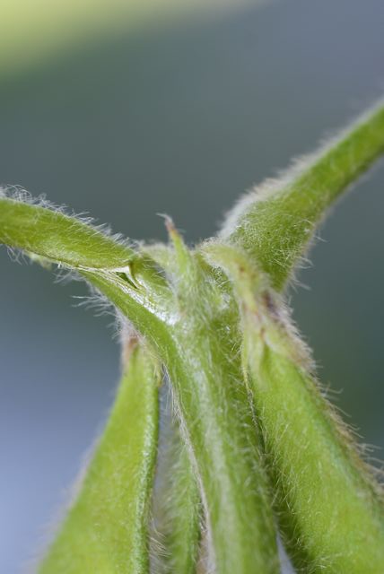 DSC01837 [640x480].JPG