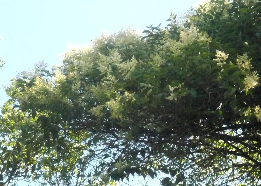 P1240008.JPG
