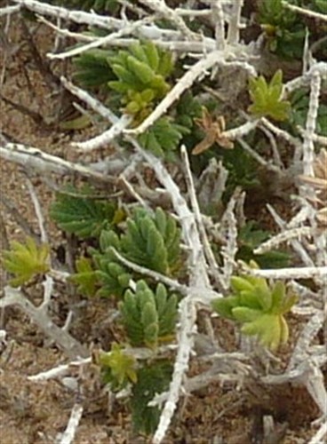 P1080113-004.JPG