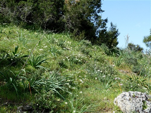 P1090934-001.JPG