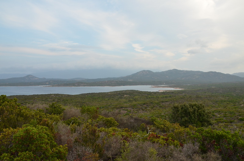 paysage 1.JPG