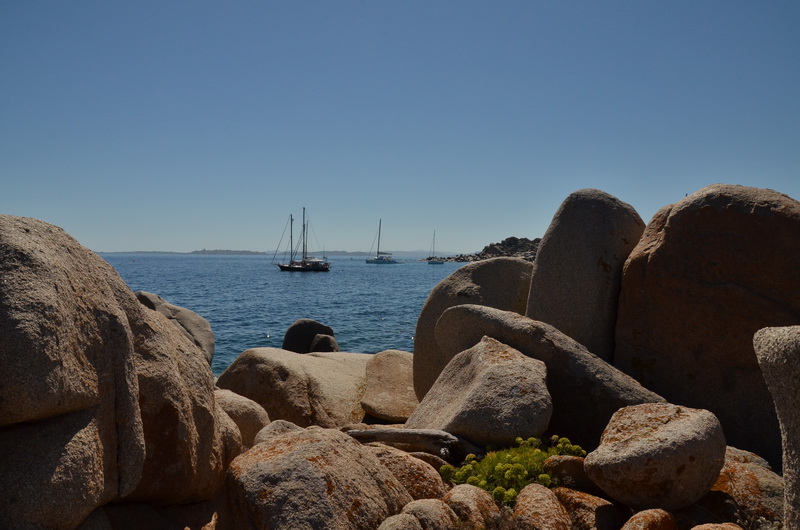 paysage 3.JPG