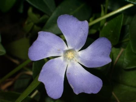 080801.JPG