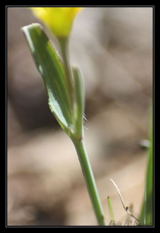 IMG_8942 copie.jpg