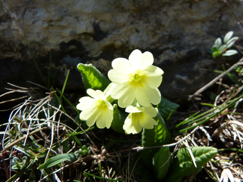 a048.jpg