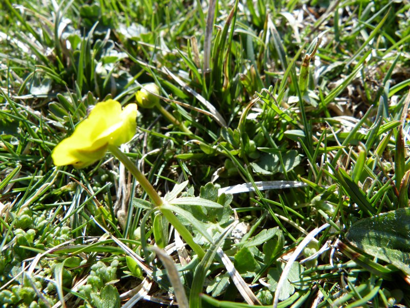 a070.jpg