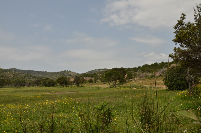 sud de l'île.JPG