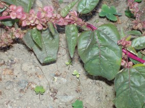 P4150007.JPG