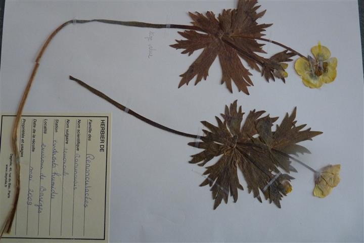 P1060394 (Small).JPG