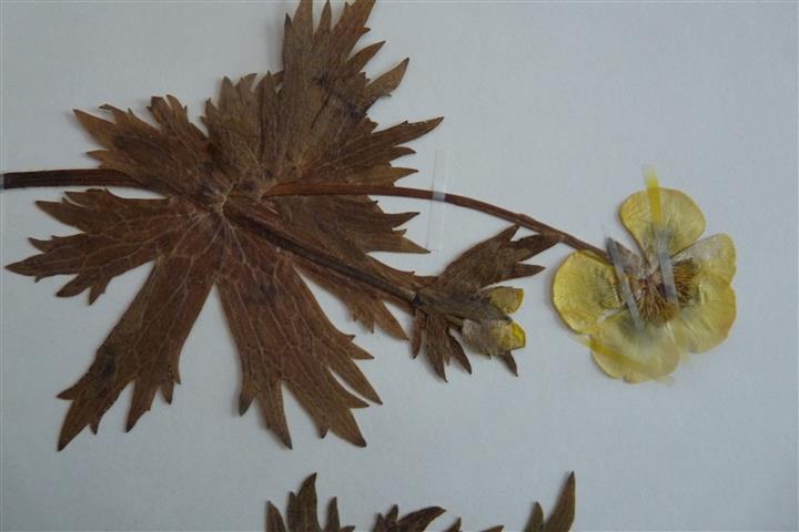 P1060395 (Small).JPG