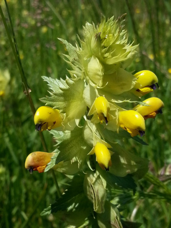 20130526_142748.jpg