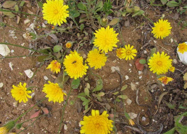 10  f.jpg