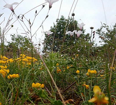 DSCN2530.JPG