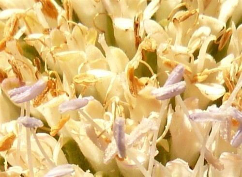 P1200915.JPG