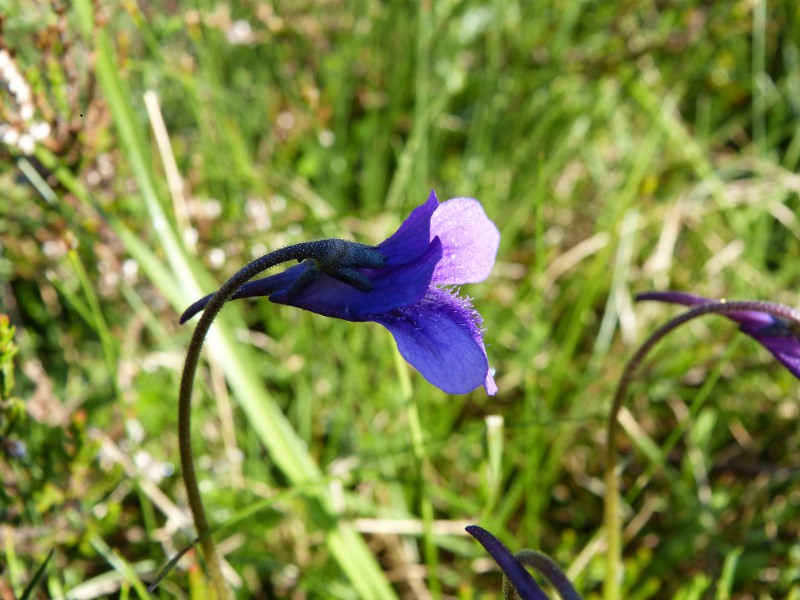 p8.jpg