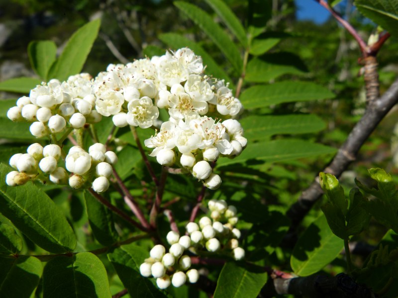 p9.jpg