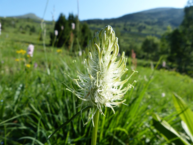 p15.jpg