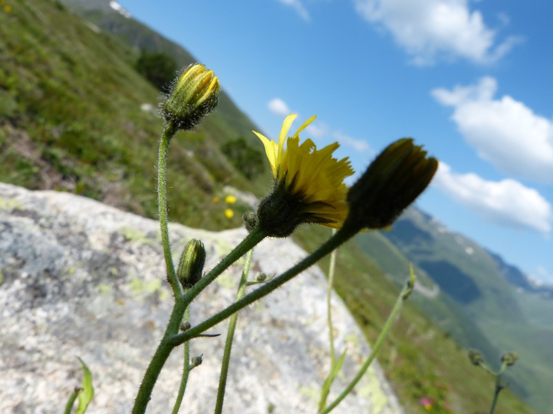 p22.jpg