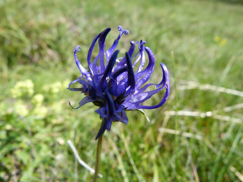 p24.jpg