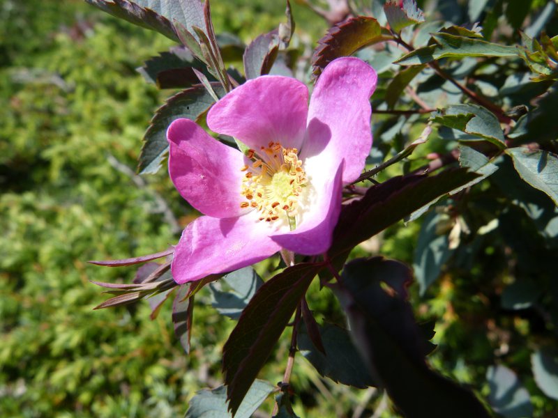 p29.jpg
