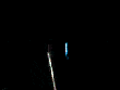 festival.gif