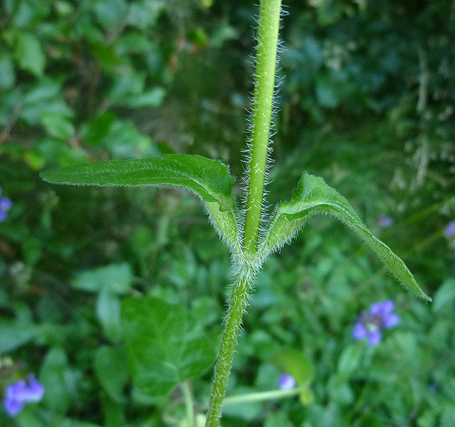 03P1060914RRW2_.jpg
