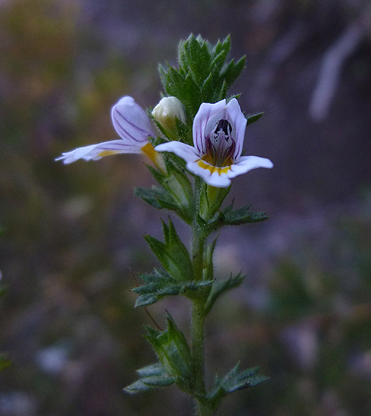03P1070594RRW_.jpg