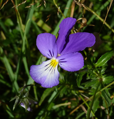 P1070603RRW_.jpg