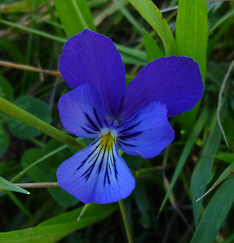 P1070548RRW_.jpg