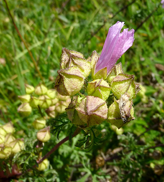 P1080427RRW_.jpg