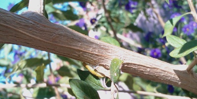 IMAG0015.jpg