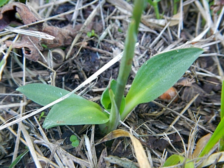 DSCN4735.JPG