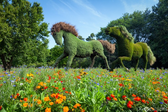 chevaux-mosaicultures-montreal.jpg