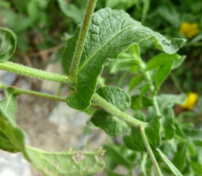 04P1090180RRW.jpg