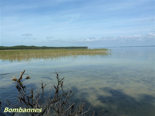 1 Bombanes (lac de Carcans-Hourtin).JPG