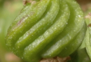 04.jpg