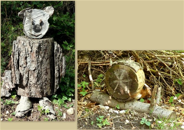 17 orso-001.jpg
