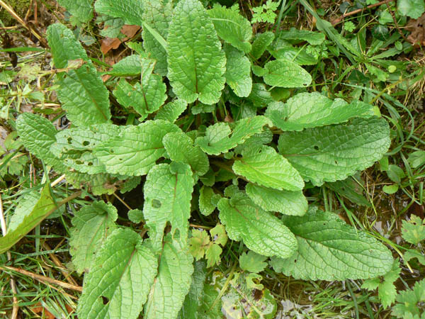 image01.jpg