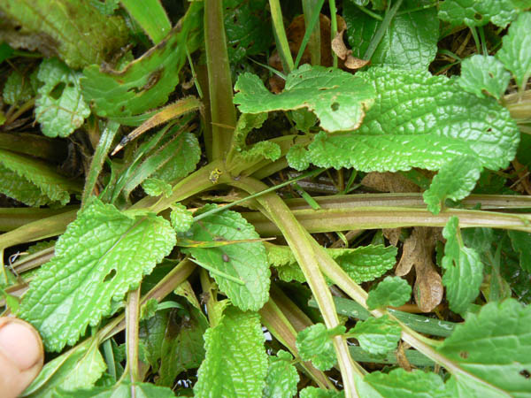 image02.jpg